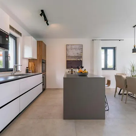 Noah - Luxurious With Private Pool Vranje Selo